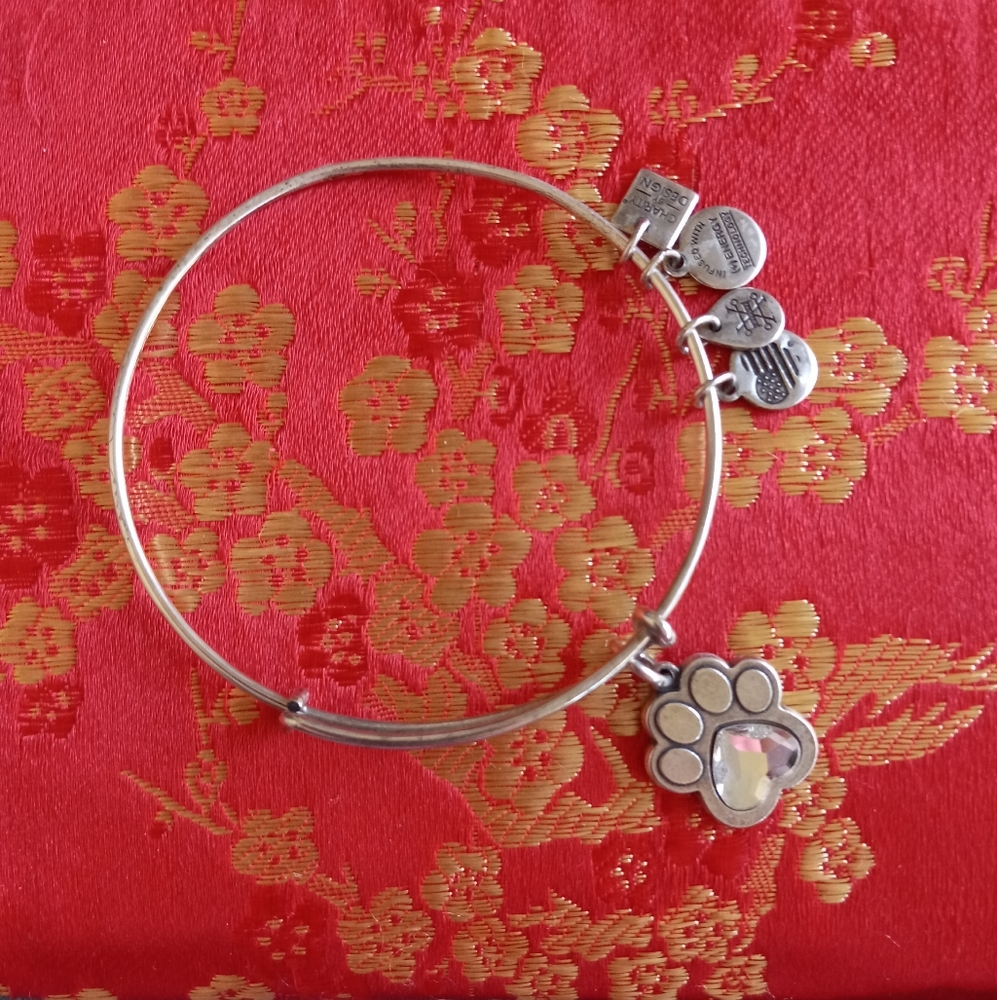 Crystal Paw Prints of Love Charm Bangle